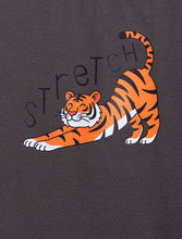 Load image into Gallery viewer, Campana Boys 100% Cotton Half Sleeves Tiger Cub Print T-Shirt - Smoky Grey
